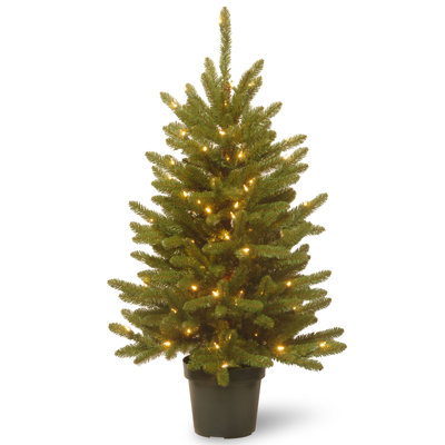 4 ft. Kennsington Tree with Clear Lights