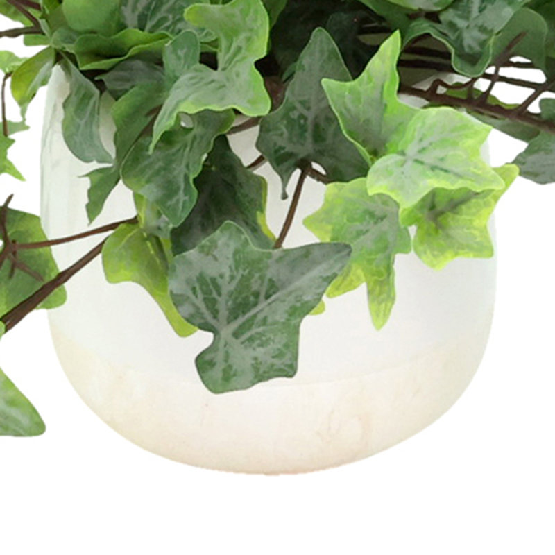 Ivy in a Ceramic Pot
