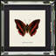 Single Picture Frame Print on Wood