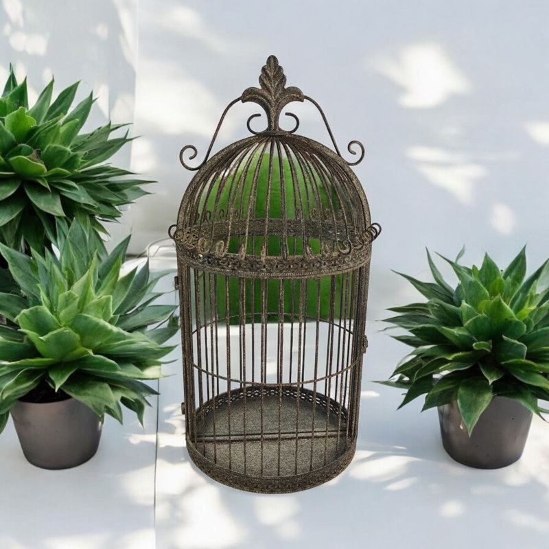 Rusty Garden Wall Mirror Bird Cage, Grey