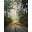 Forsaken Road Print by Scott Norris-1656944003