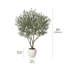 Olive artificielle H 84 po avec pot de fleurs blanc Ashwell
