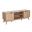 Udall 2 Door TV Entertainment Stand with Storage