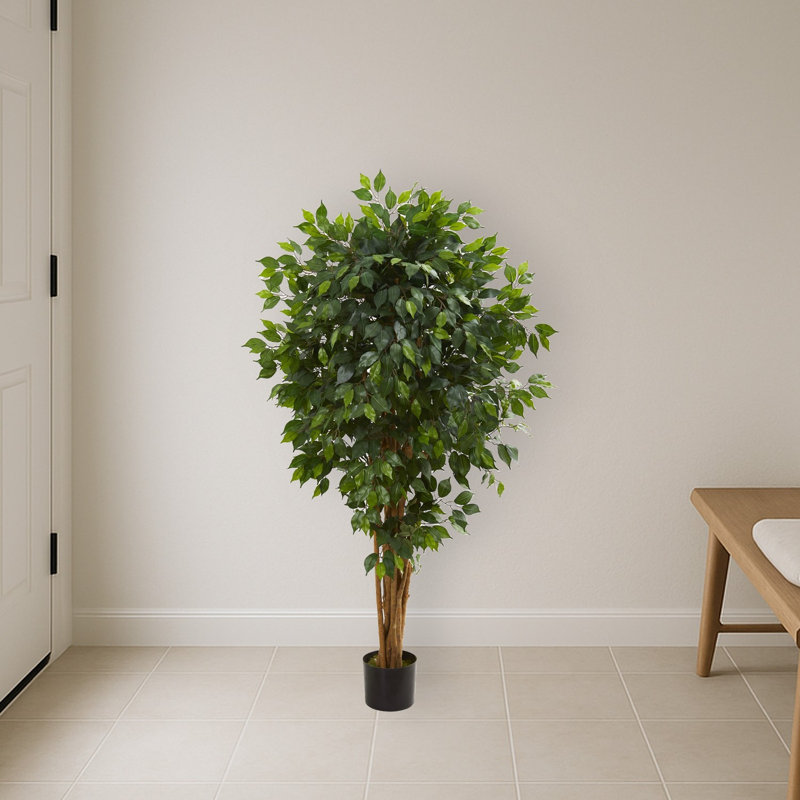 Ficus Artificial Tree