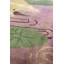 Tapis unique mauve / vert / beige Art Deco 8 pi 10 po x 11 pi 2 po années 1920
