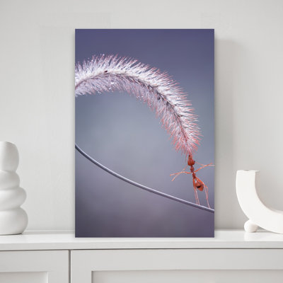 Red Ant'S Delicate Balance Delicate Tranquil Contemporary Ant Nature Plant Wall Art Print 1 Piece Wrapped Canvas Wall Art
