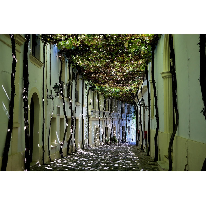 Sunny Bunnyes On The Street Of Jerez De La Frontera by Homocosmicos - Wrapped Canvas Print, 30cm H x 46cm W x 3.8cm D