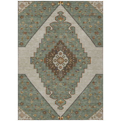 Machine Washable Indoor/Outdoor Chantille ACN2472 Global Rug