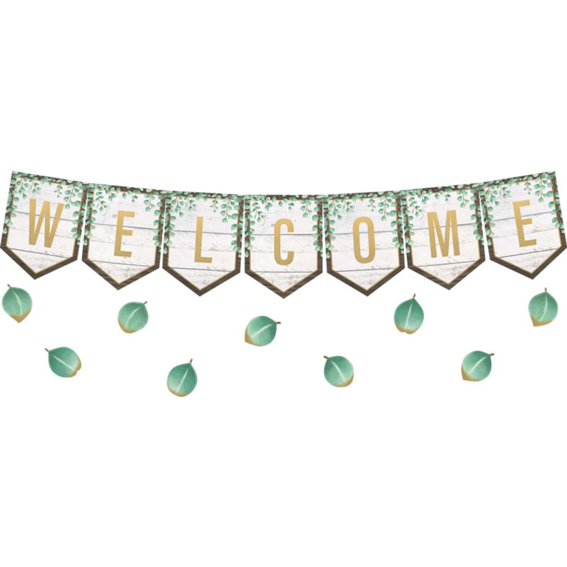 Ensemble de babillards Eucalyptus