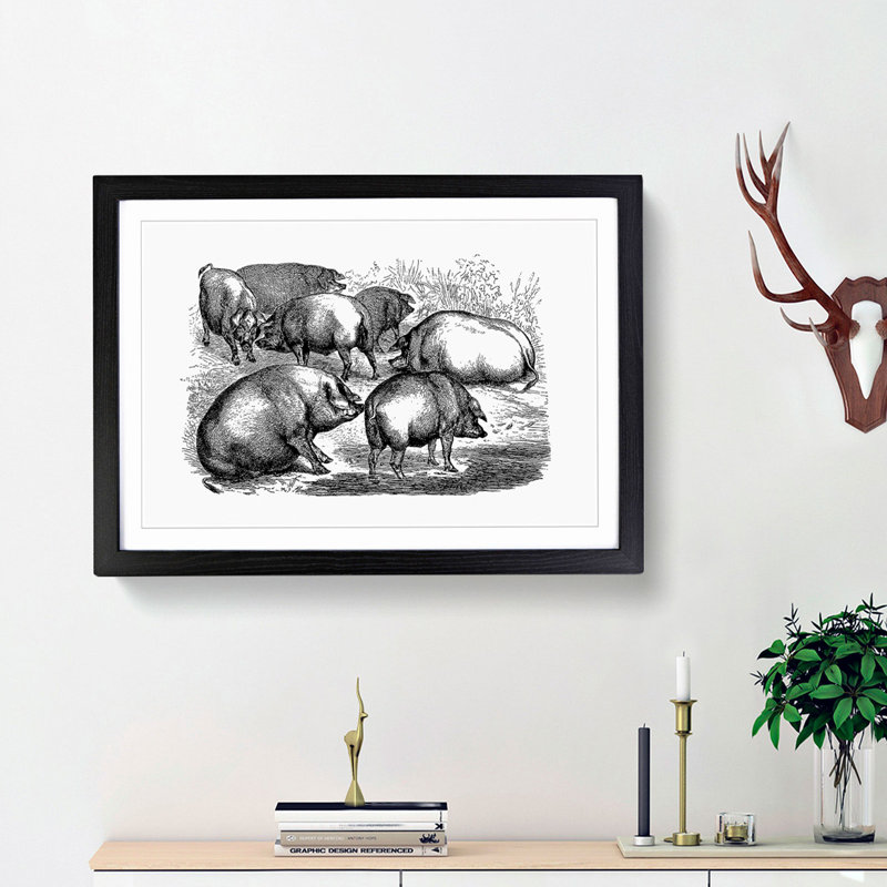 Pigs Illustration in Black and White - Framed Print, 36cm H x 48cm W x 2cm D, Black Framed
