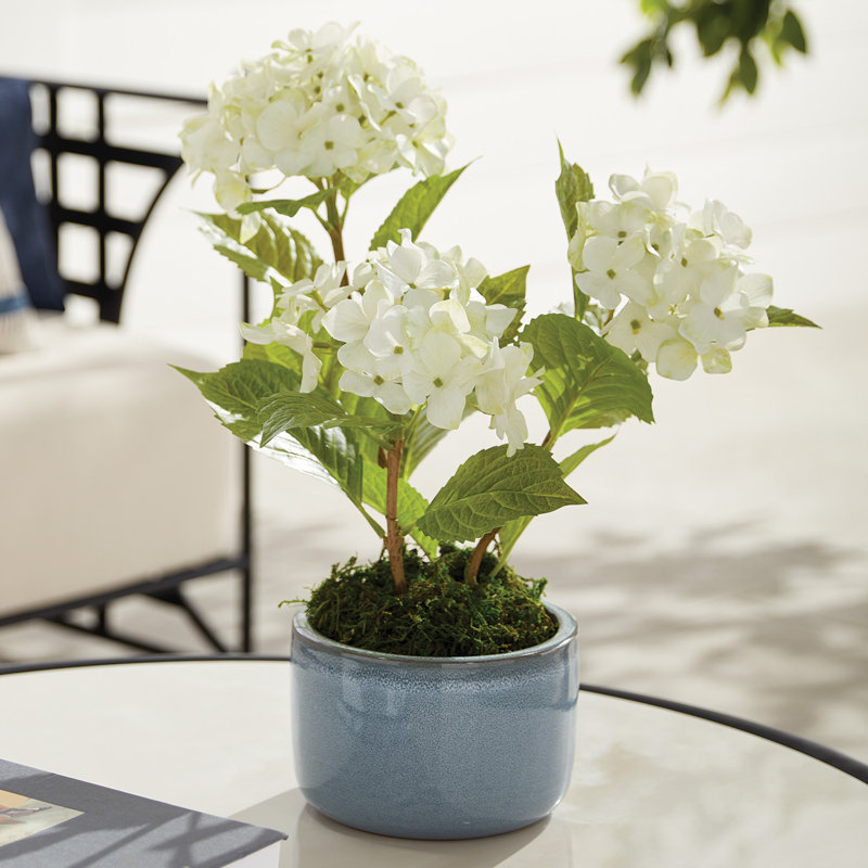 Pots Cheri, ensemble de 3