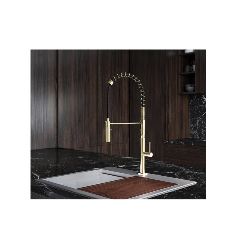AvaMalis Pull Down Kitchen Faucet
