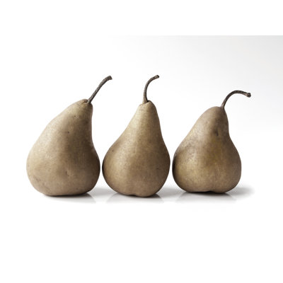 Magnetic Glass Photo Memo Board