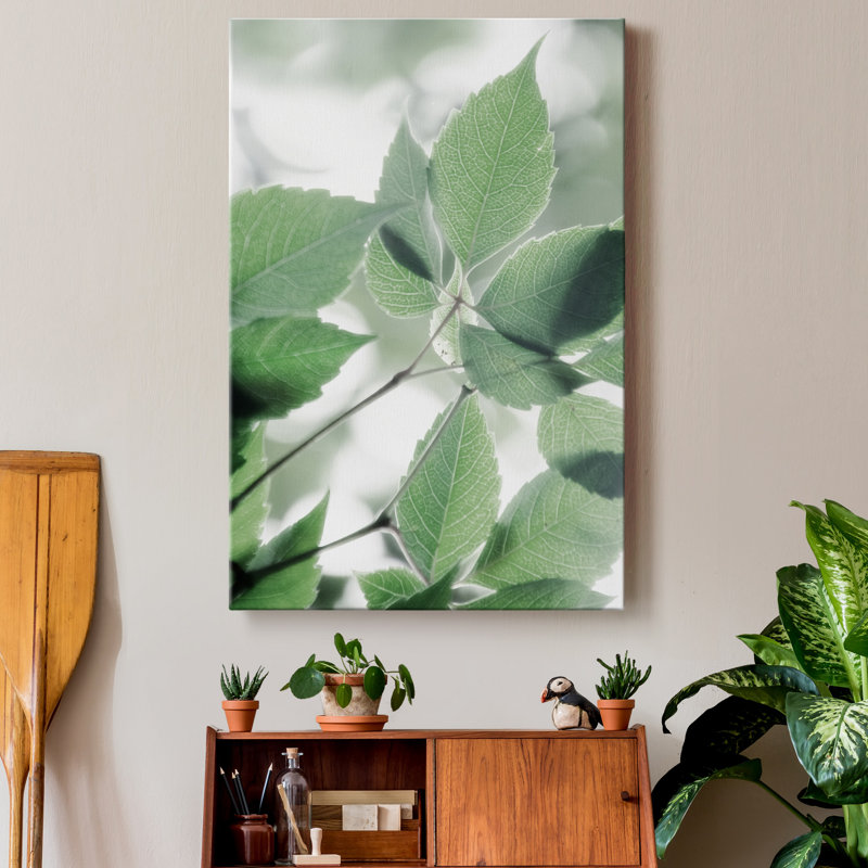 « Fields of Green I », reproduction de photo sur toile tendue, H 20 po x l 16 po x P 1 po