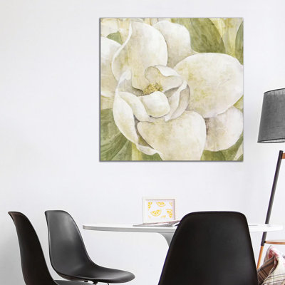 Magnolia Dolce by Tava Studios - Wrapped Canvas Painting