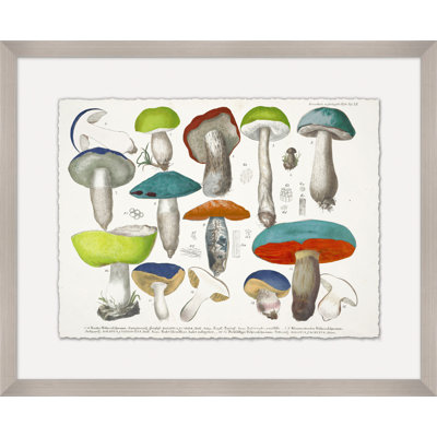 Modern Mushrooms 2 Print