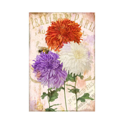 Chrysanthemums 1 Piece Wrapped Canvas Wall Art