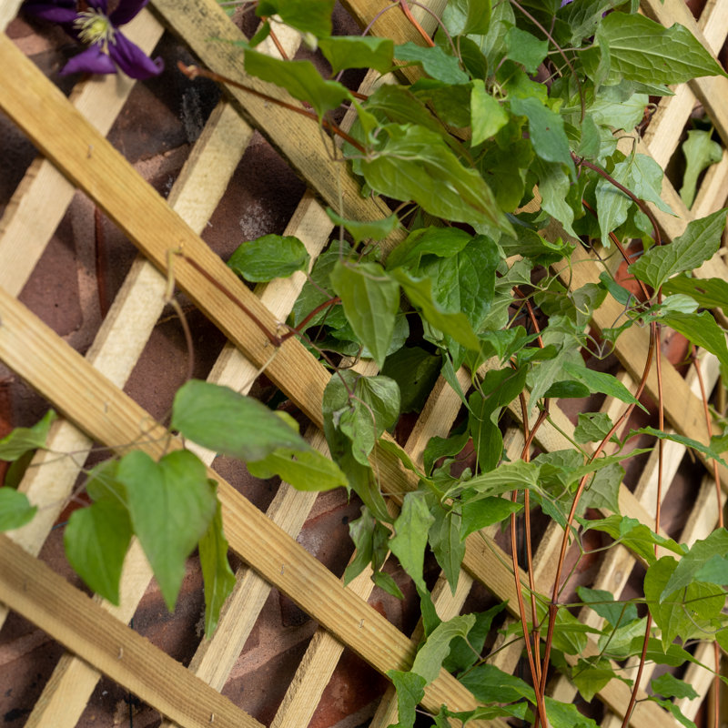 Wood Wall Planter