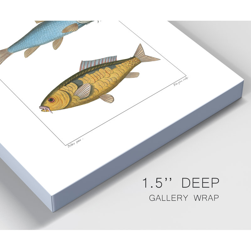« Poissons d’eau II », reproduction d’art sur toile tendue, H 20 po x l 16 po x P 1 po