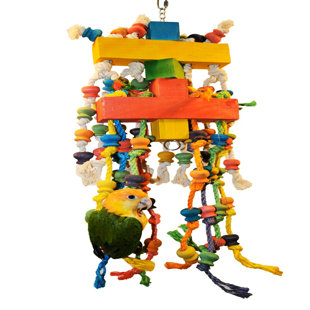 Becs Heureux 9 oiseaux