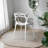 Modholic Nest Dining Chair, White-27656349-122782392