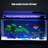 Three-Sided Integrally Formed Oxygen-Increasing Aquariums Tank-264473094