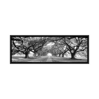 " Brick Path Through Alley Of Oak Trees " by Panoramic Images