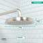 Raindance C 180 Rain Shower Head-3609286