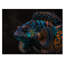 Halona, magnifique poisson mandarine dans des tons de bleu VII - impression-88040192-88040196