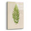  «Davallia Tenuifolia» par Art Licensing Studio, art mural en verre acrylique-1680118547