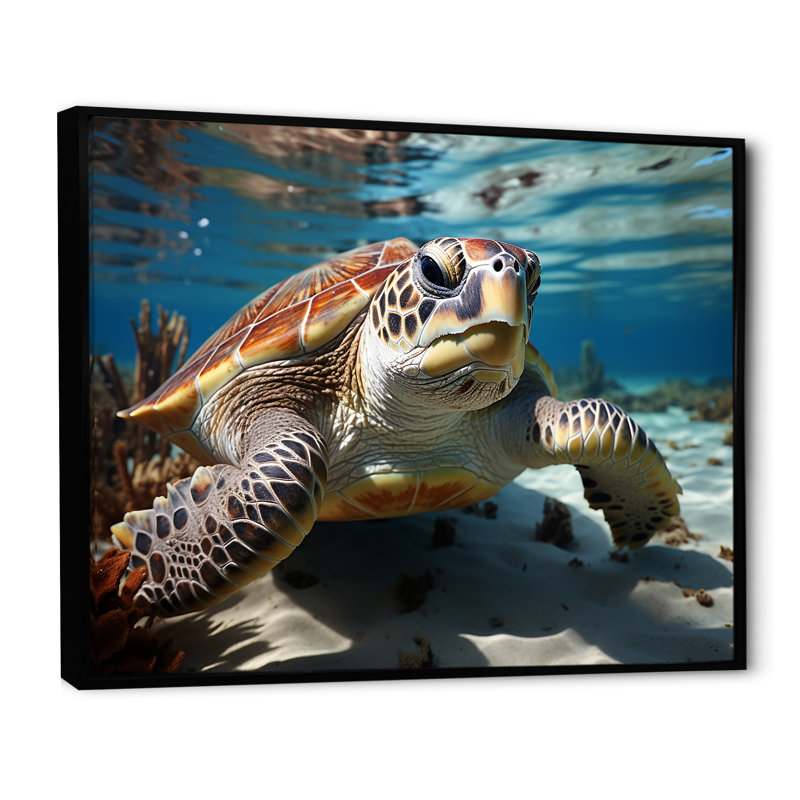 Minimalist Lagoon Turtle sur toile, Cadre flottant noir, H 16 po x l 32 po x P 1 po