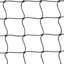 Blodgett Badminton-44337631