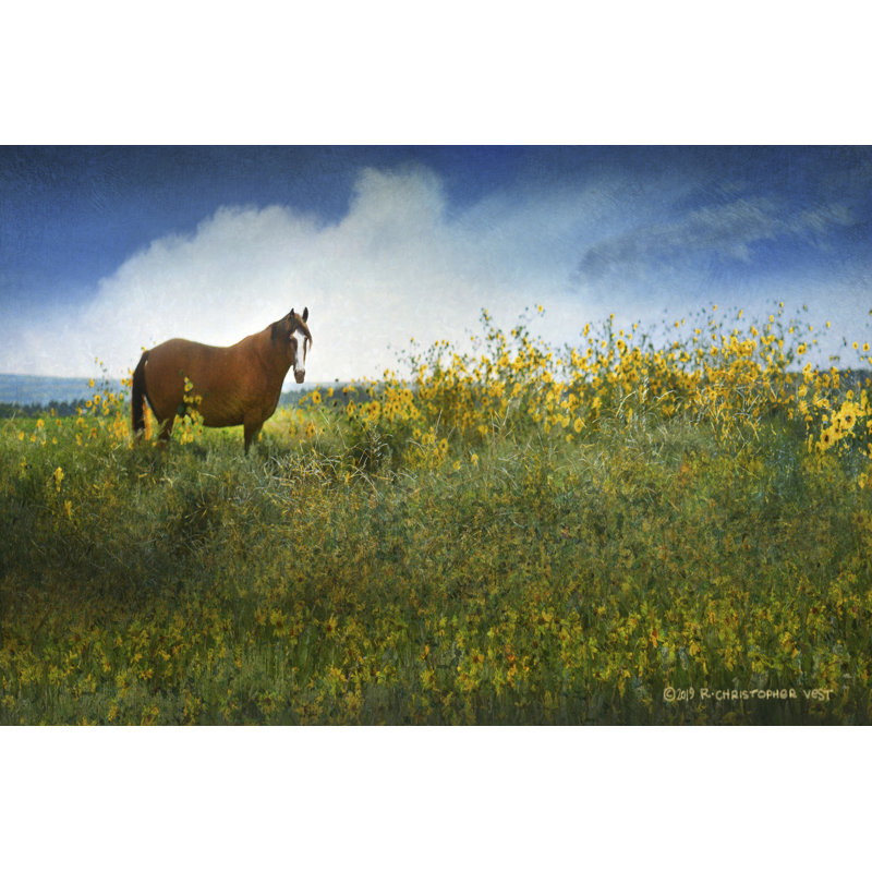 Horse In Flowers I - Painting, Black Floater Framed, 81cm H x 122cm W