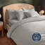 Silentnight Brushed Cotton Duvet Set-119338389-119338391