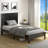Algene Platform Bed-242550562-242550561