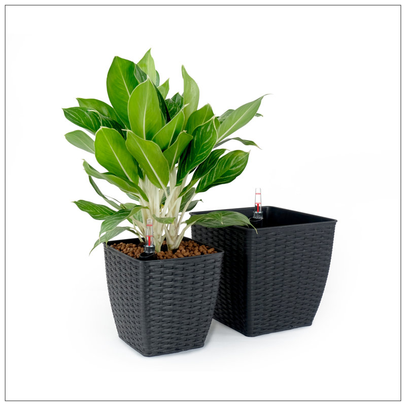 Paquet de 2 pots à fleurs auto-arrosants - Osier tissé à la main - Carré mince - Espresso