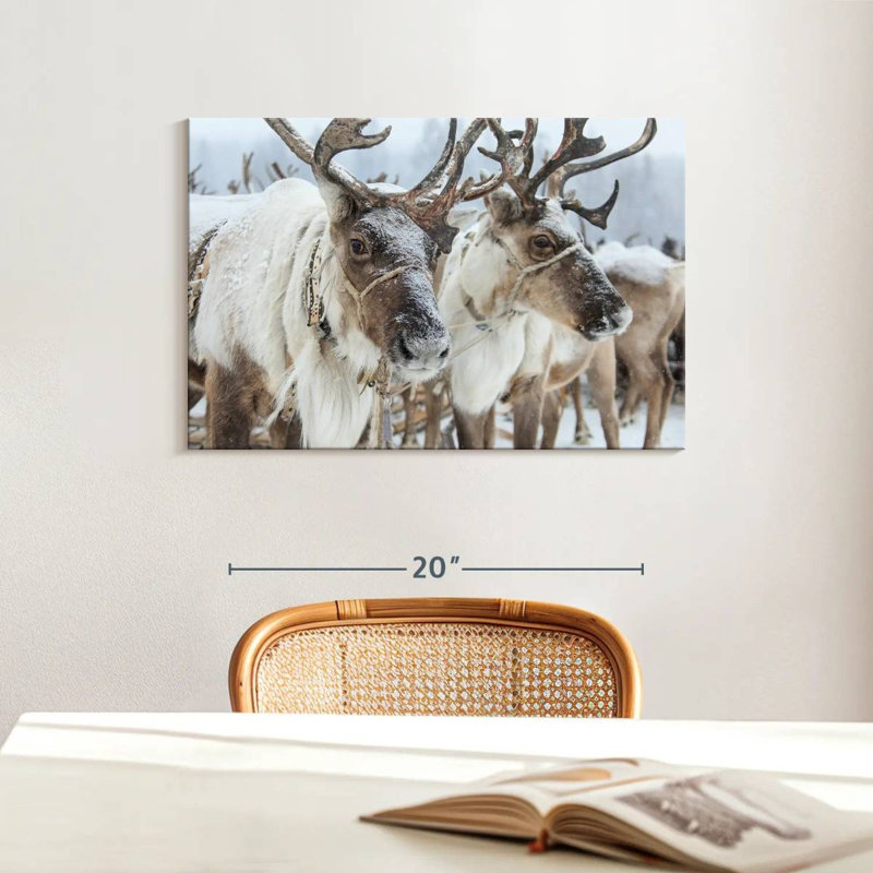 Snow Reindeer, 16" H x 24" W