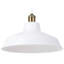 Abigail 1 - Light Dome Pendant-38833883
