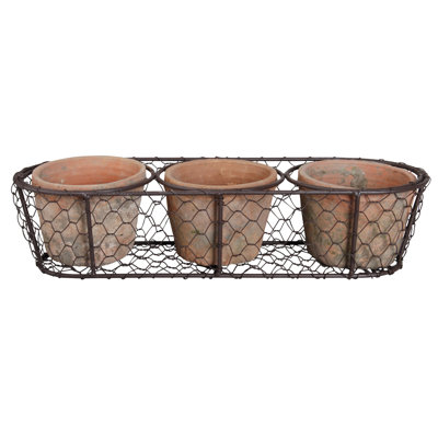 3 Aged Terracotta Pots in Wire Basket