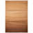 Kayzlynn Ombre Indoor Rug