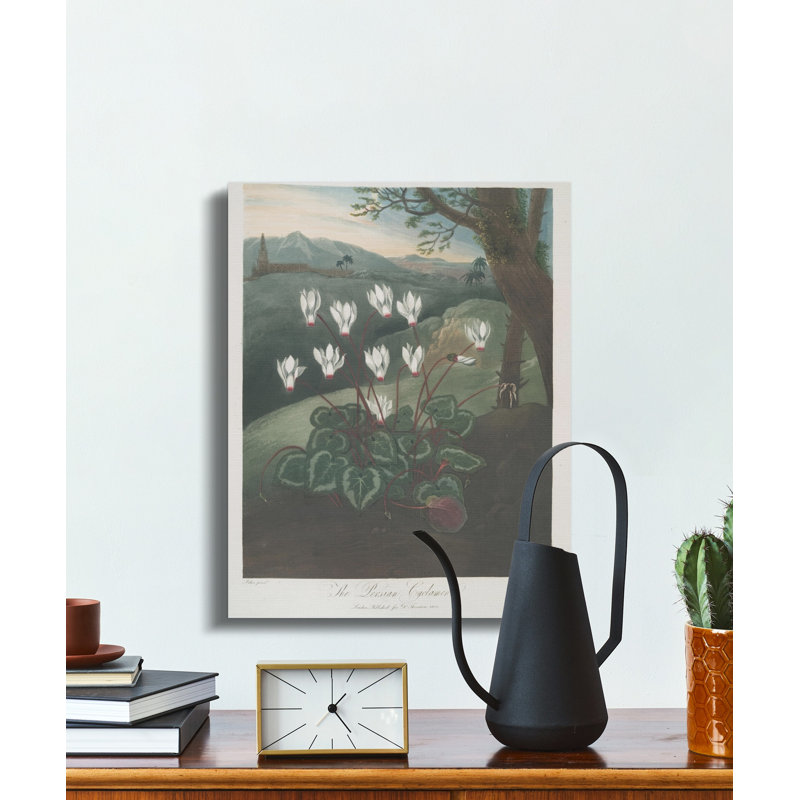 Hersh Wrapped Canvas Print Set, 8x10