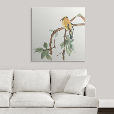 Ayled «Black N tape Oriole» par Chris Paschke, reproduction d'art