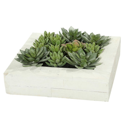 12"x12" Artificial Green Succulent Arrangement