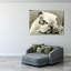 Bulldog-575067058