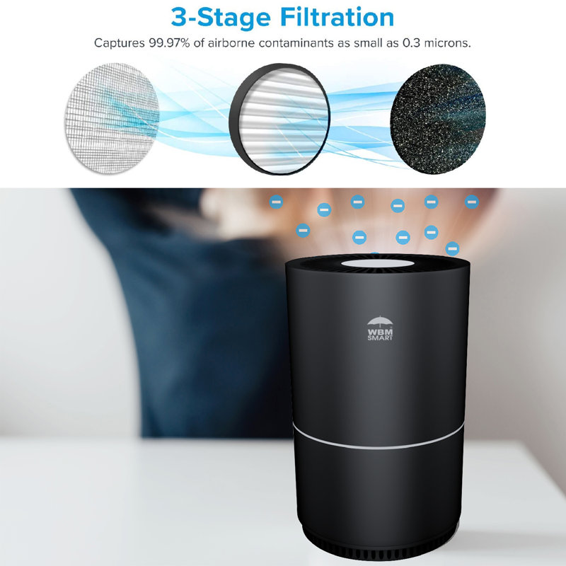 WBM Smart HEPA Filter Air Purifier for Home, Pets and Allergies Hair Smokers in Bedroom, White