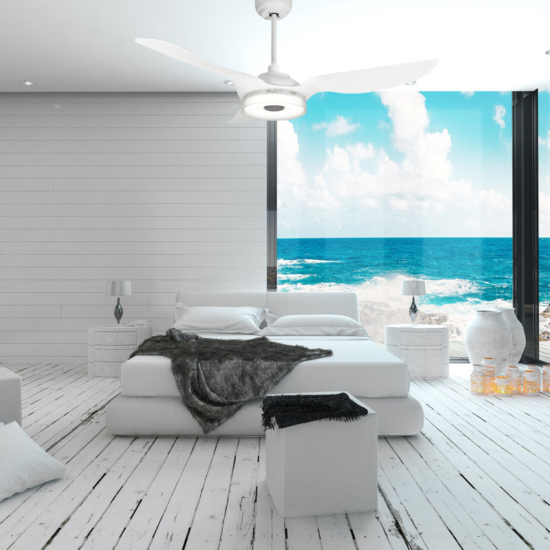 Braylynn 52'' Ceiling Fan with LED Lights, White