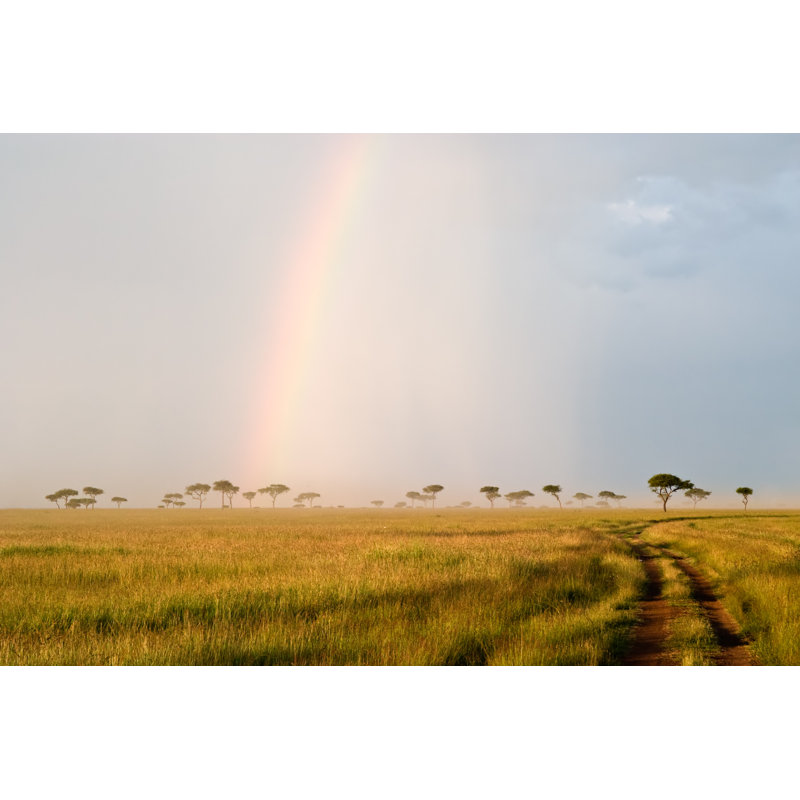 Rainbow In The Savannah by Ajsn - Wrapped Canvas Print, 20cm H x 30cm W