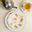 Butterfly Ginkgo 5 Piece Yellow/White Dinnerware Set