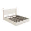 Metal Bed
