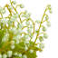 Muguet dans une boîte en bois-816478598